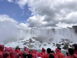 迷いながらも踏み出した、30代・社会人のトロントROワーホリ