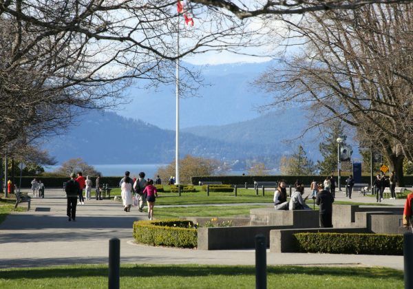 カナダのビザで実際にあったトラブル事例。見落としやすいポイントとは？