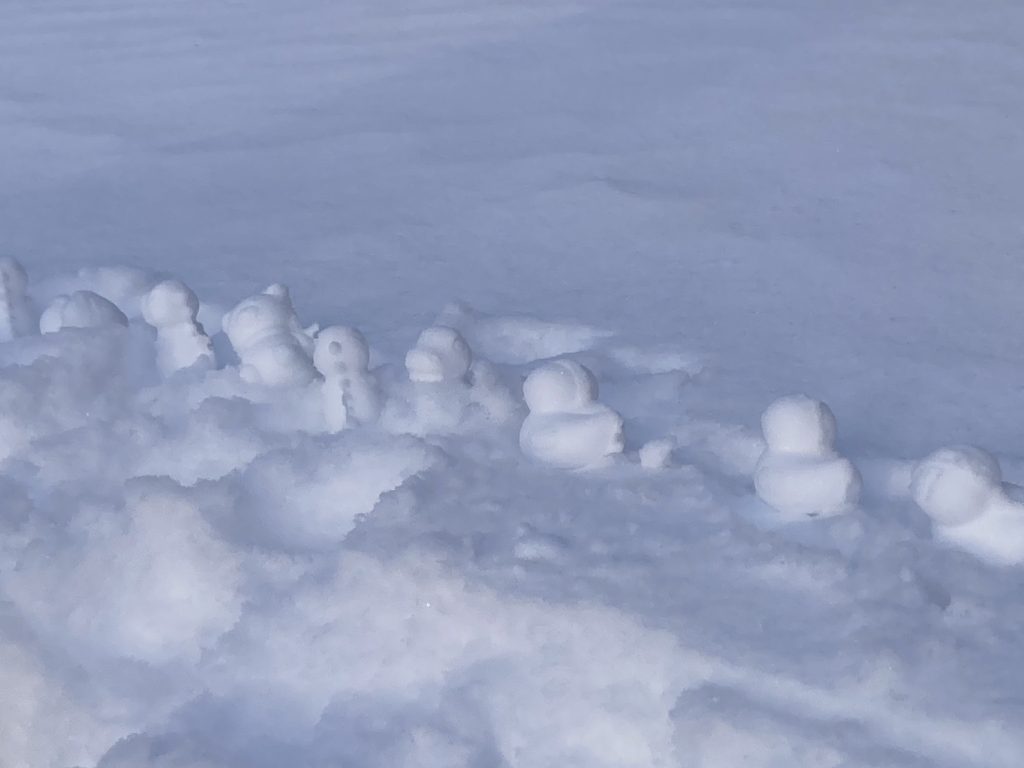 留学生　インタビュー　写真　カナダ カレッジ進学