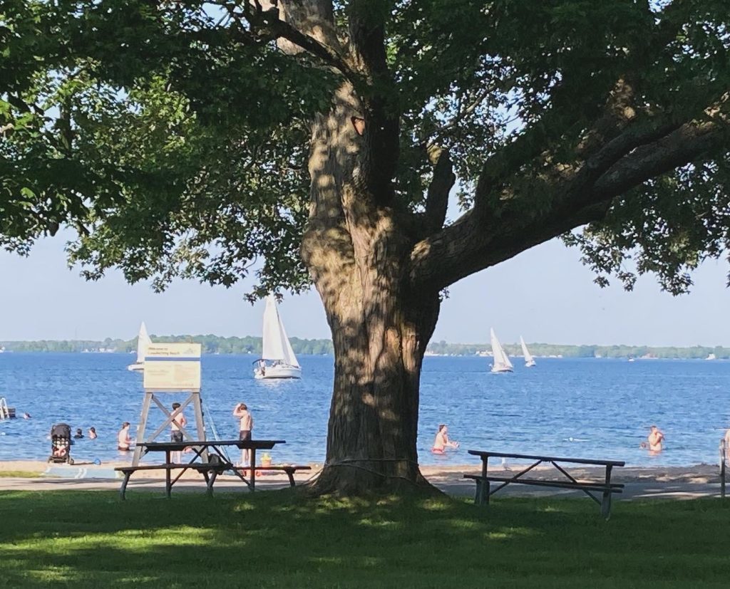 留学生　インタビュー　写真　カナダ カレッジ進学