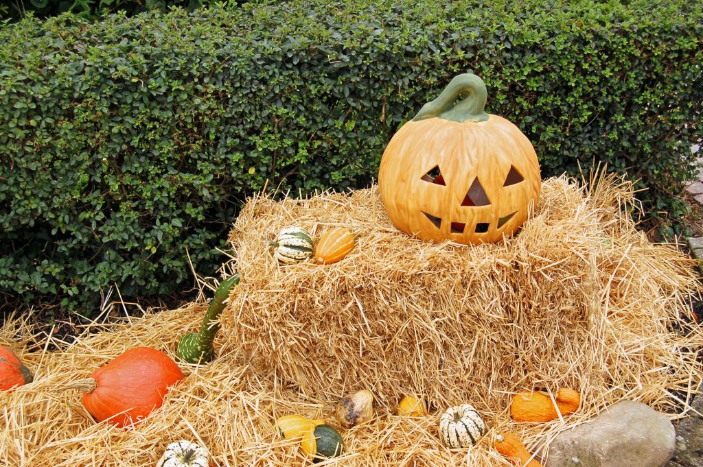 カナダのハロウィンで使える英語表現集|会話をもっと楽しもう!